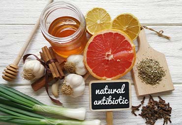 image of 11 natural antibiotic foods like honey, garlic, and oregano